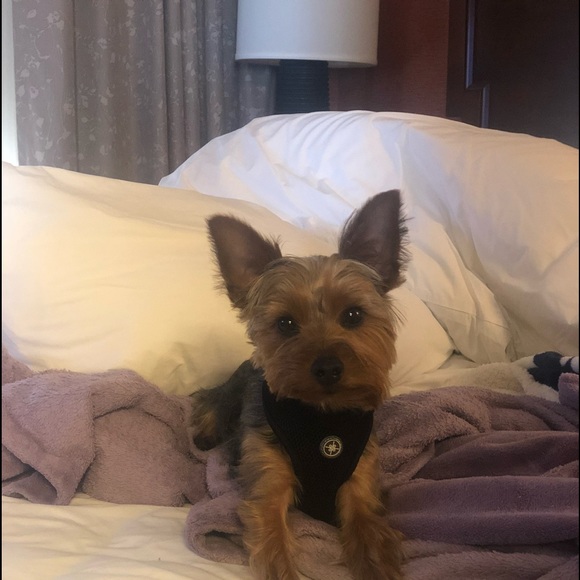 Meet your Posher, Maria Poshmark Ambassador - Picture 2 of 8